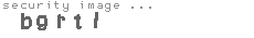security image