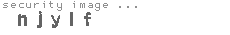security image