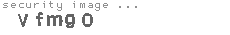 security image