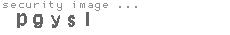 security image