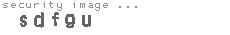 security image