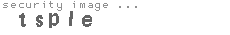 security image