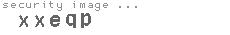 security image