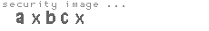 security image