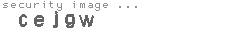 security image
