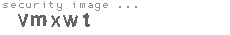 security image