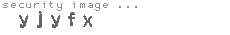 security image