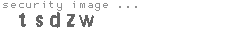 security image