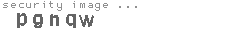 security image