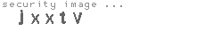 security image