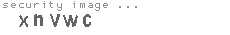 security image