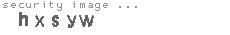 security image