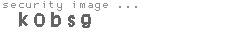 security image
