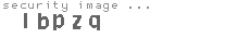 security image