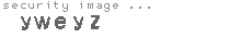 security image