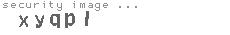 security image