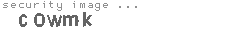 security image