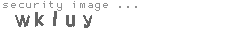 security image
