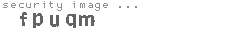 security image