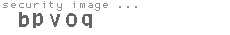 security image