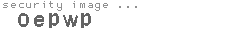 security image
