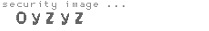 security image