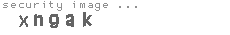 security image