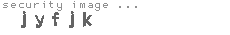 security image