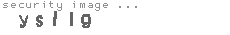 security image