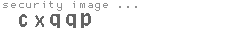 security image