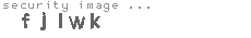 security image