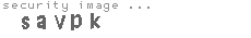 security image