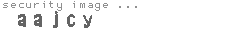 security image