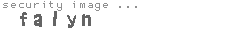 security image