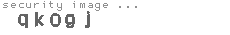 security image
