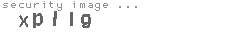 security image