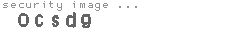 security image
