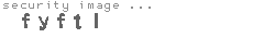 security image