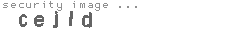 security image