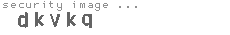 security image