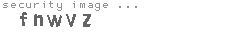 security image