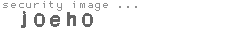security image