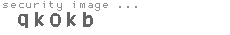 security image