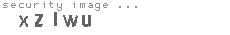 security image