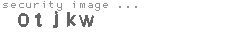 security image