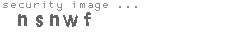 security image