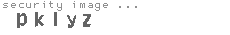 security image