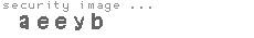 security image