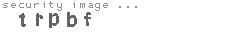security image