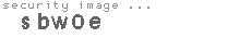 security image